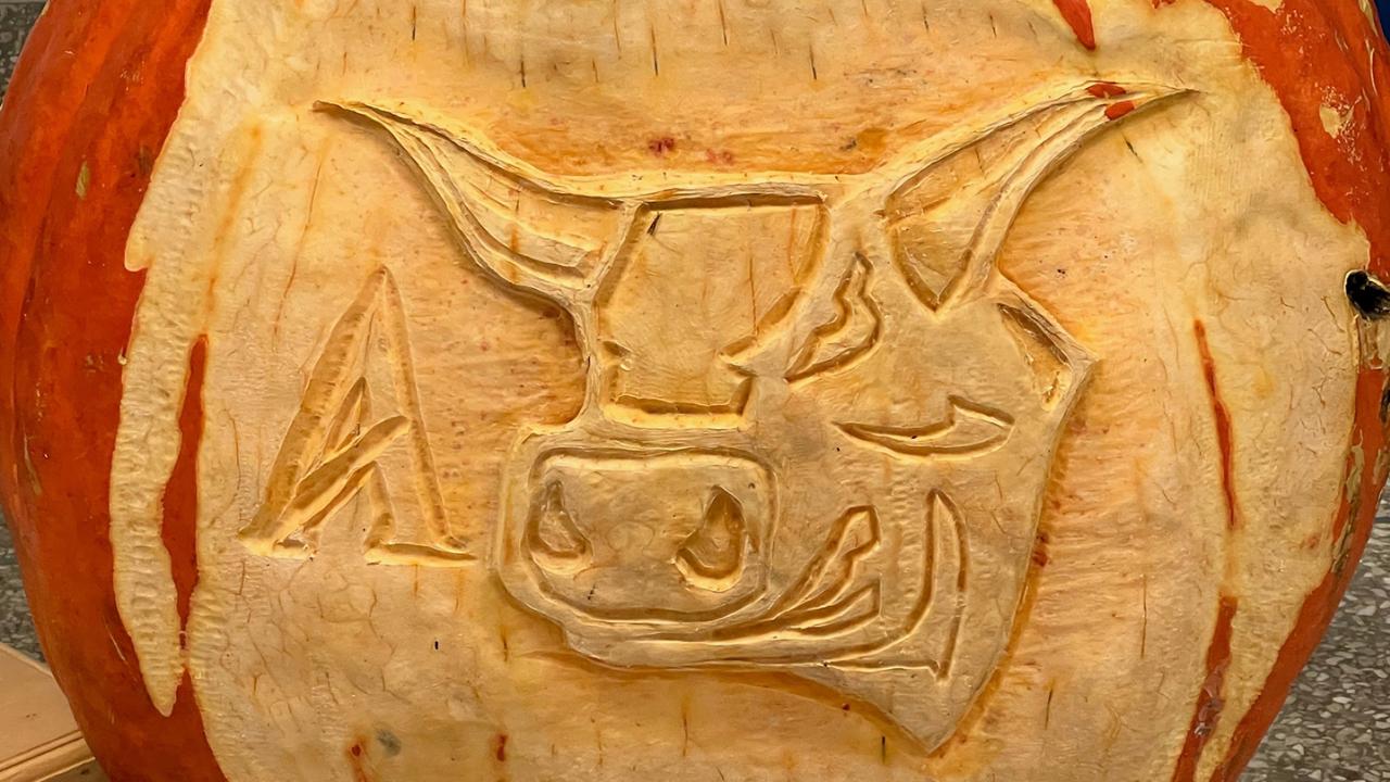 Big blue carved in a pumpkin