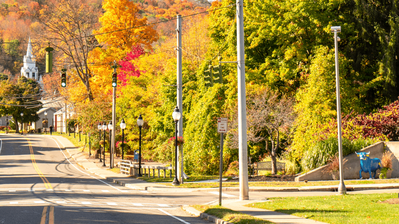 Only traffic light in Alfred, NY