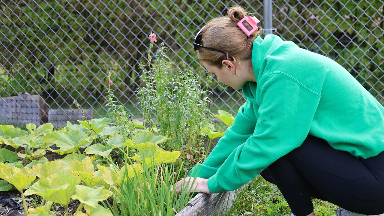 student works in the community garden