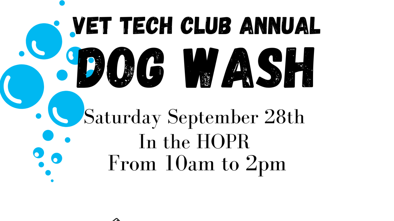 Vet Tech Club annual dog wash announcement. Saturday September 28 from 10am-2pm in the HOPR. Email oharajm@alfredstate.edu for an appointment. 