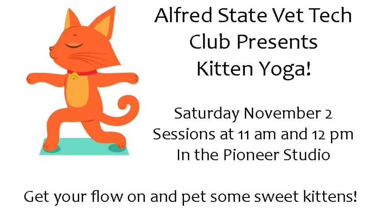 Advertisement for Vet Tech Club's Kitten Yoga. Classes Saturday November 2 at 11 am and 12 pm in the Pioneer Studio. Reservations required, $10 per person. Contact Meghan Smith at smithmm@alfredstate.edu for more information.