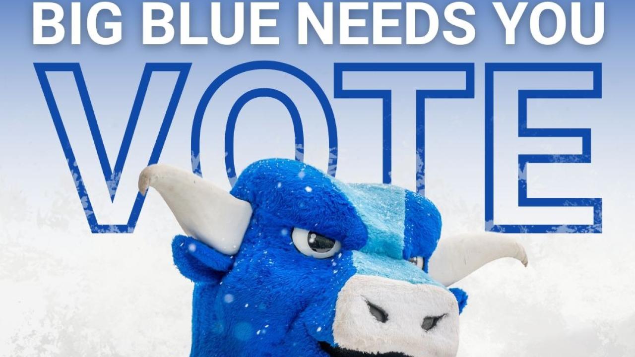 Big Blue asks for votes