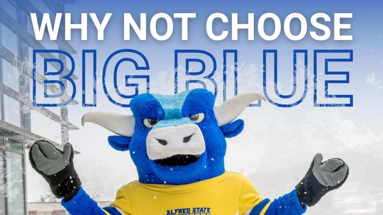 Big Blue asking for votes!